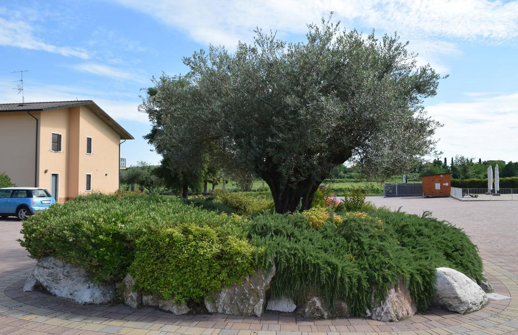 Agriturismo Ca' Del Gal Valeggio sul Mincio Exterior photo