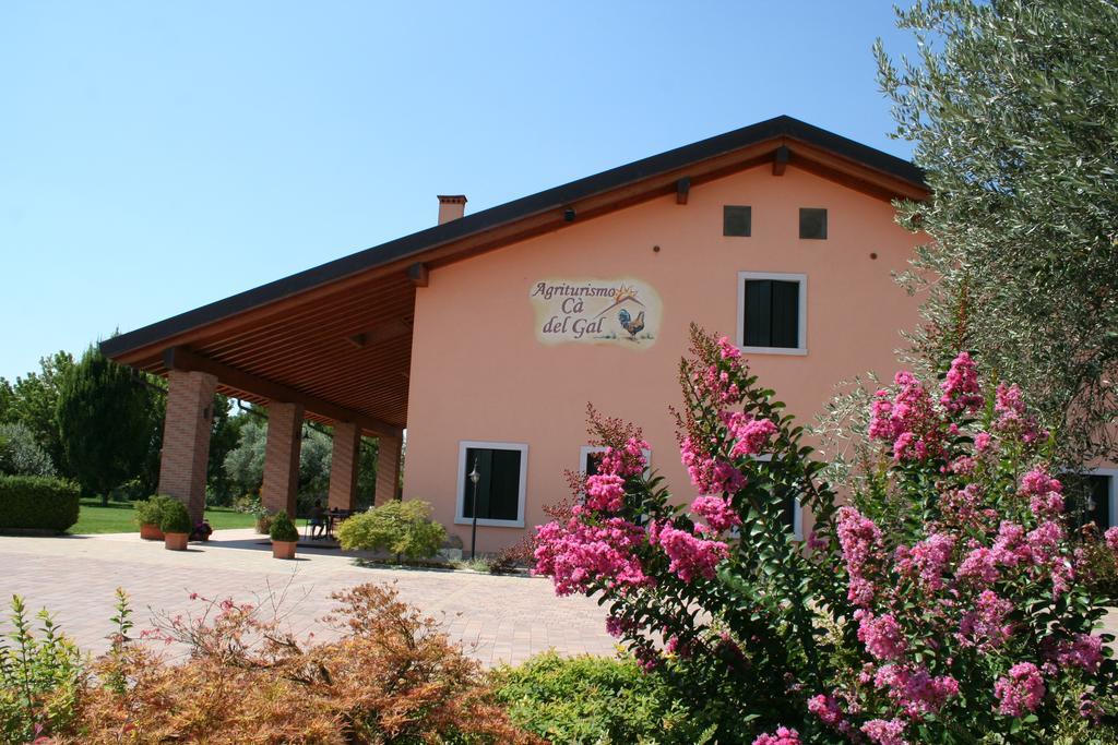 Agriturismo Ca' Del Gal Valeggio sul Mincio Exterior photo